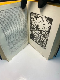 Картинка 2