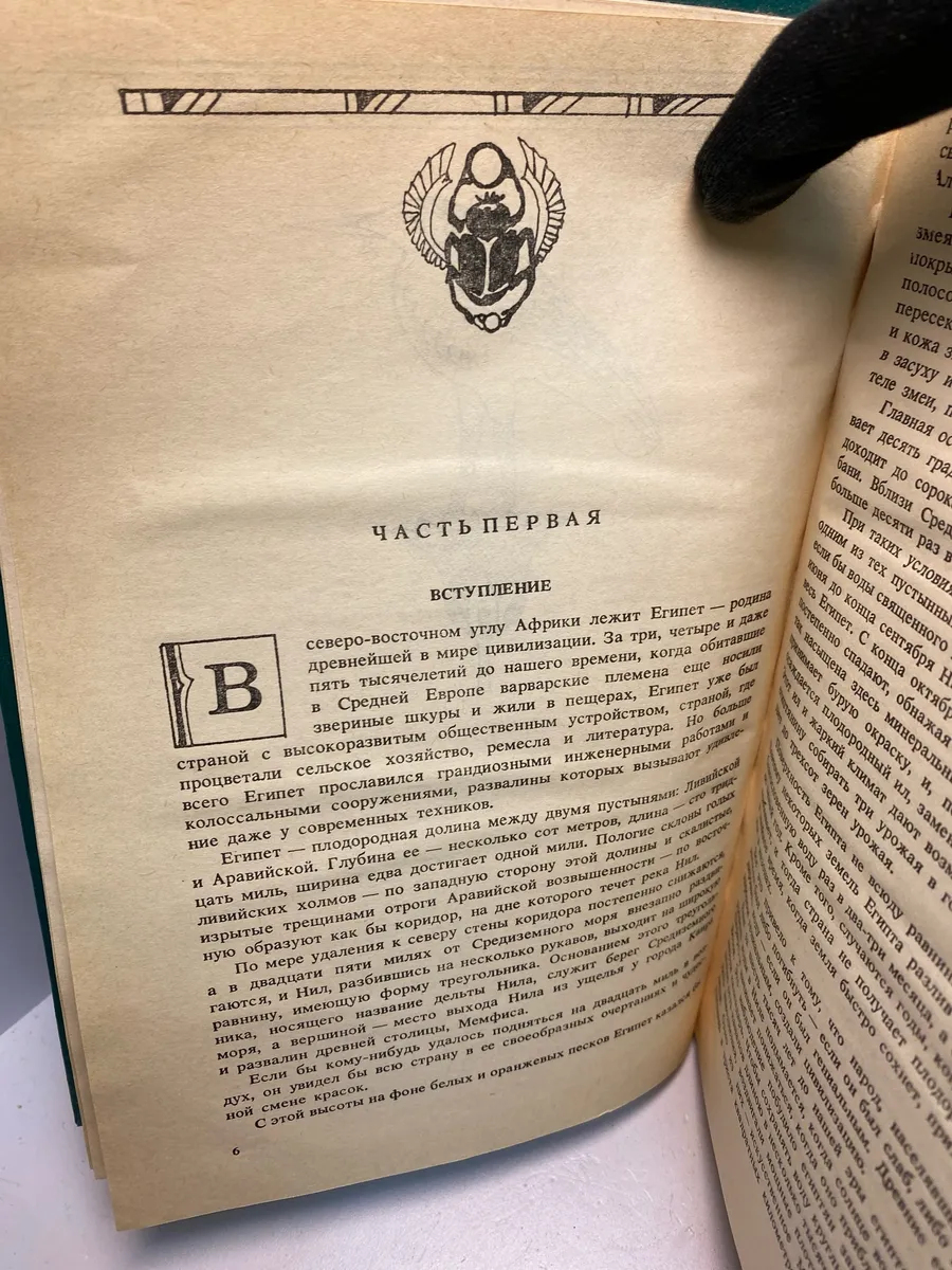 Картинка 5