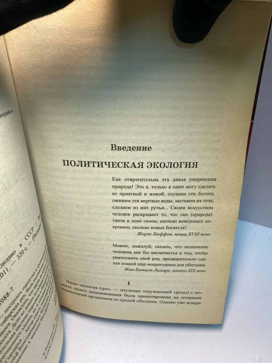 Картинка 2