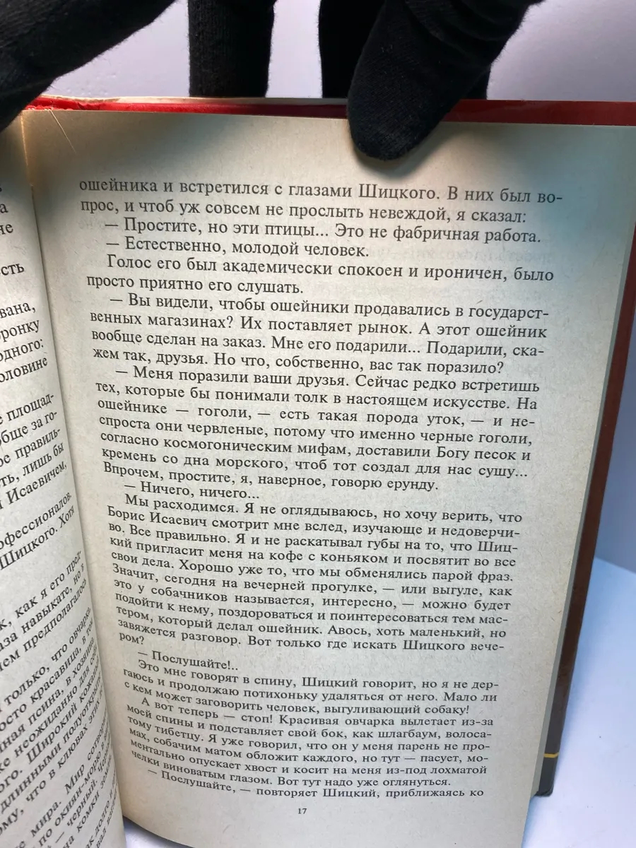 Картинка 5