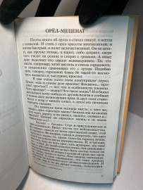 Картинка 3
