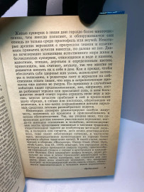 Картинка 5
