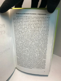 Картинка 4