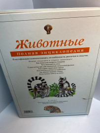 Картинка 3