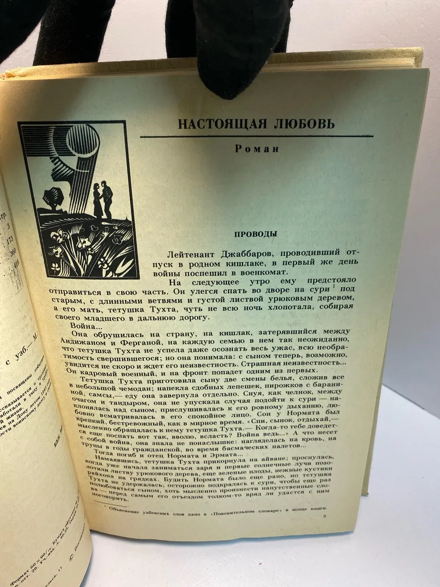 Картинка 3