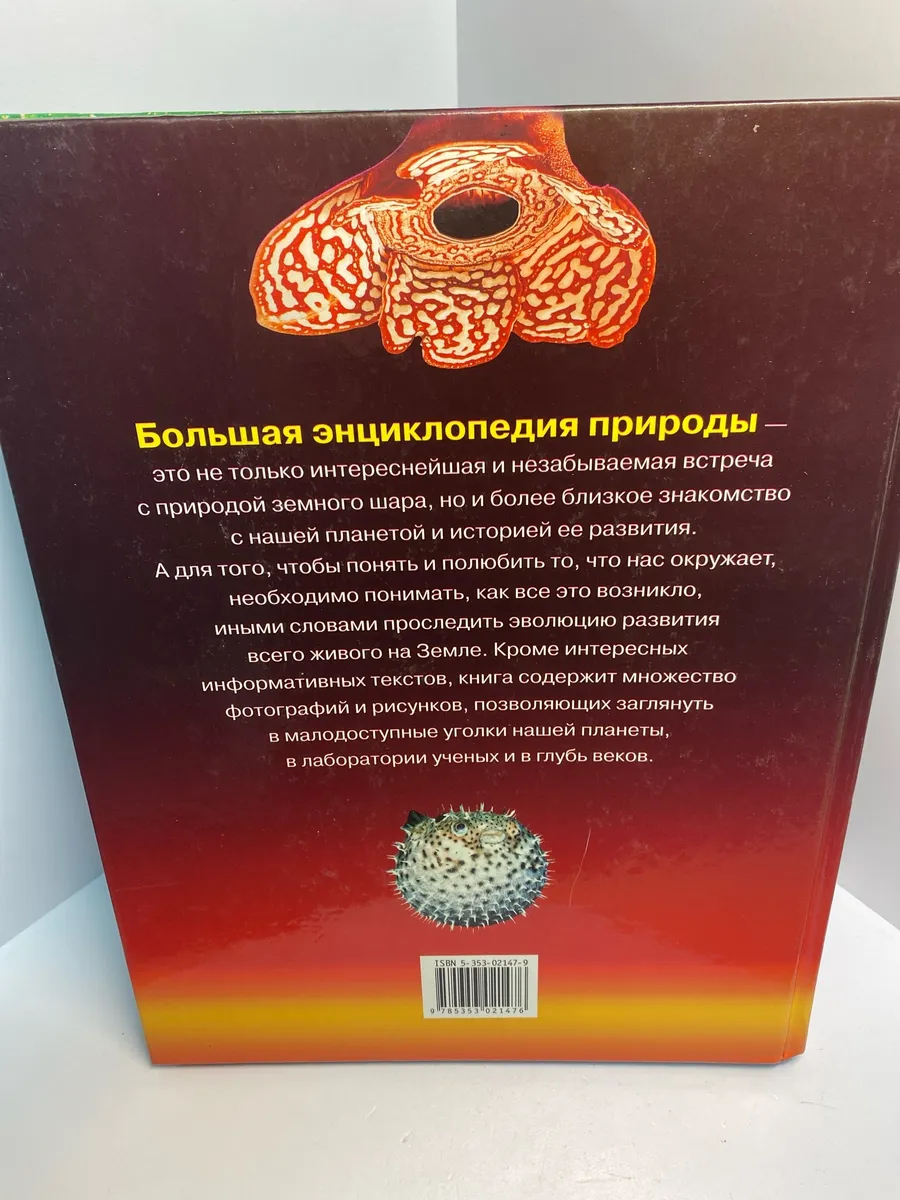 Картинка 3