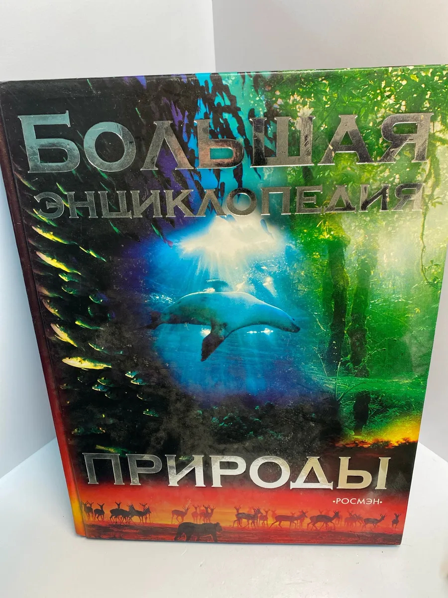 Картинка 1