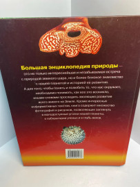 Картинка 3