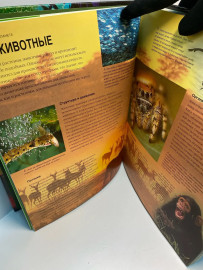 Картинка 6