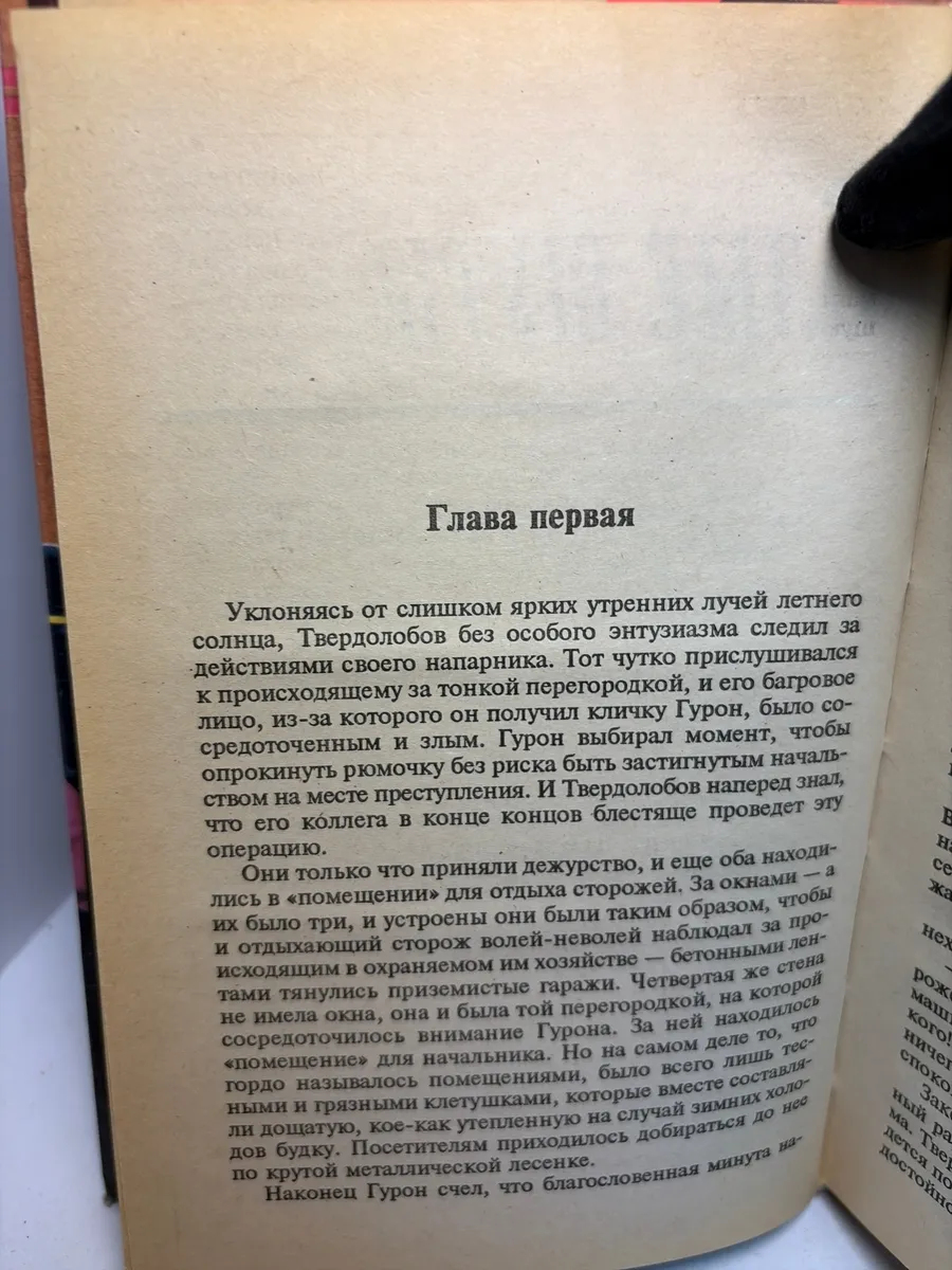 Картинка 5