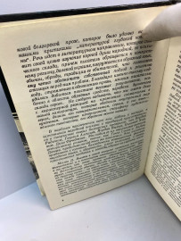 Картинка 5