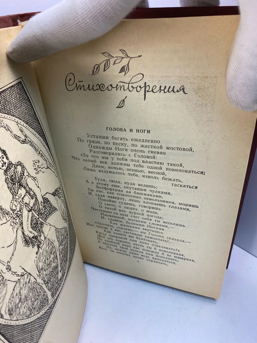 Картинка 8