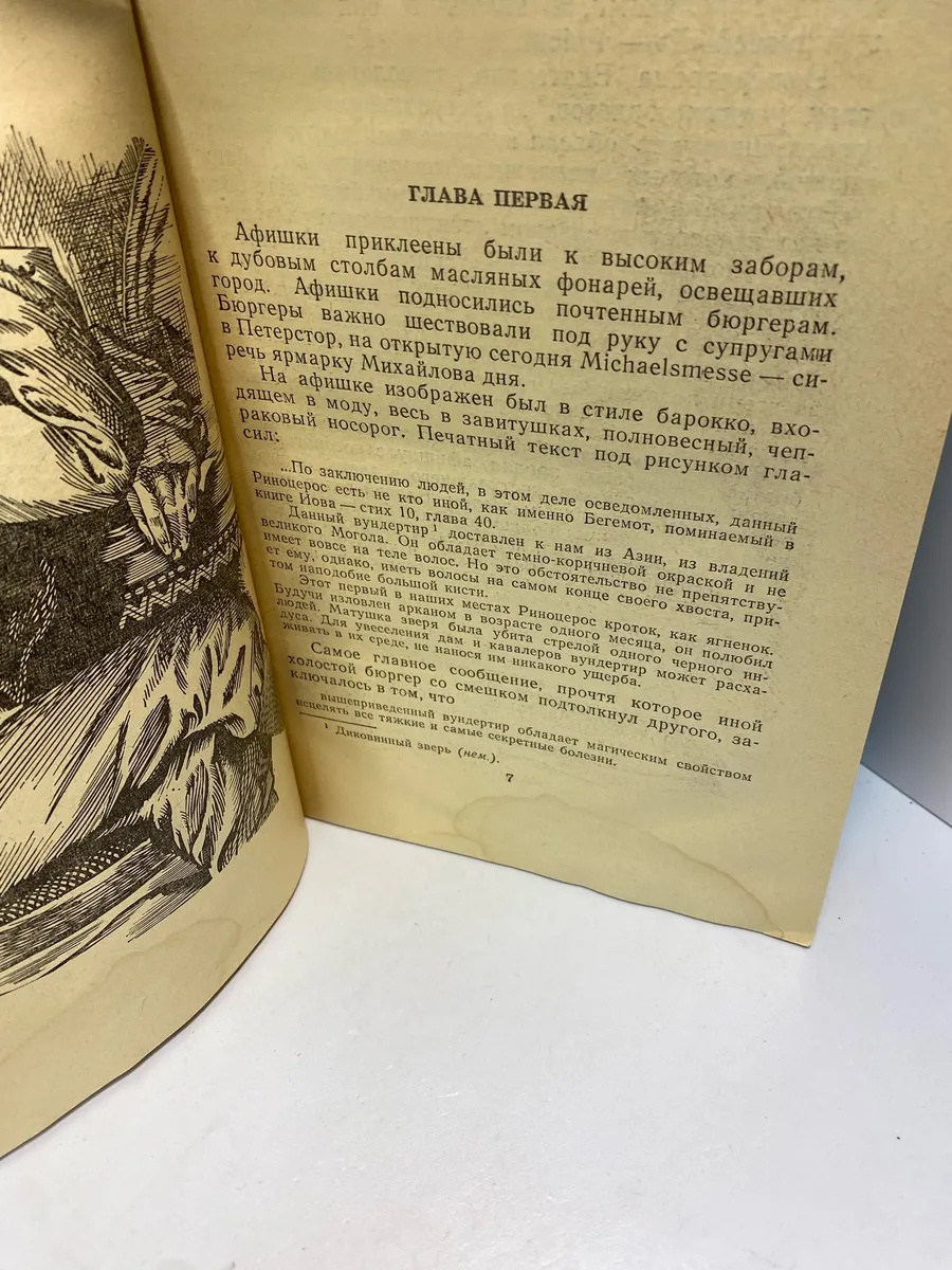 Картинка 5