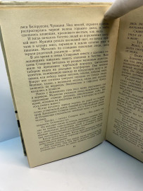 Картинка 10