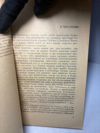 Картинка 4