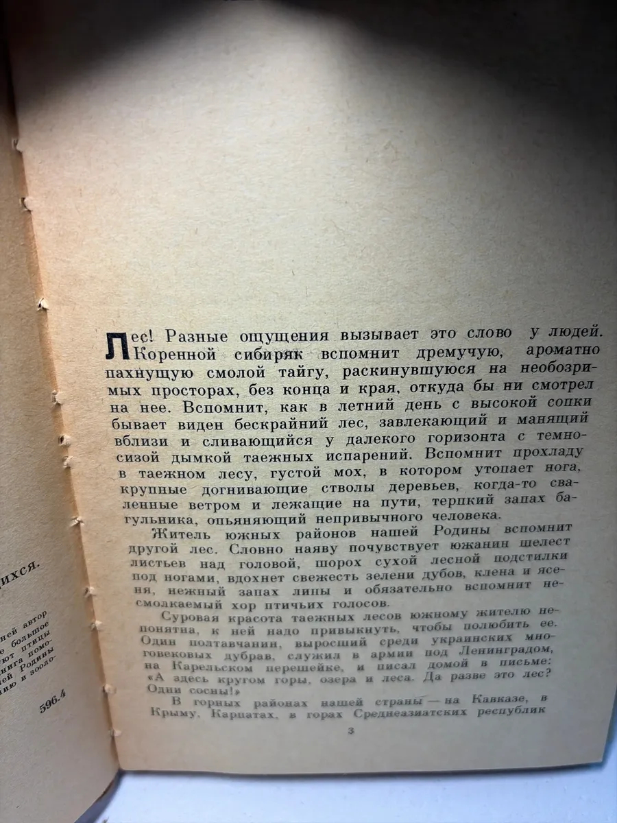 Картинка 4