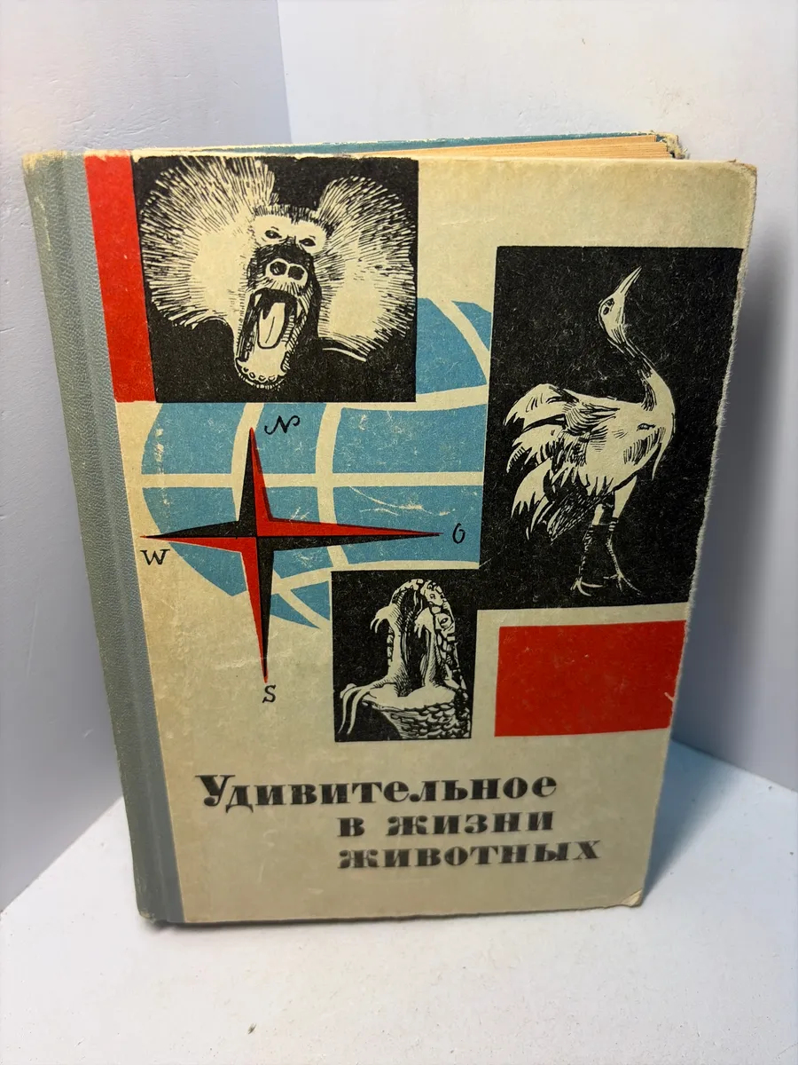 Картинка 1