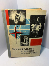 Картинка 1