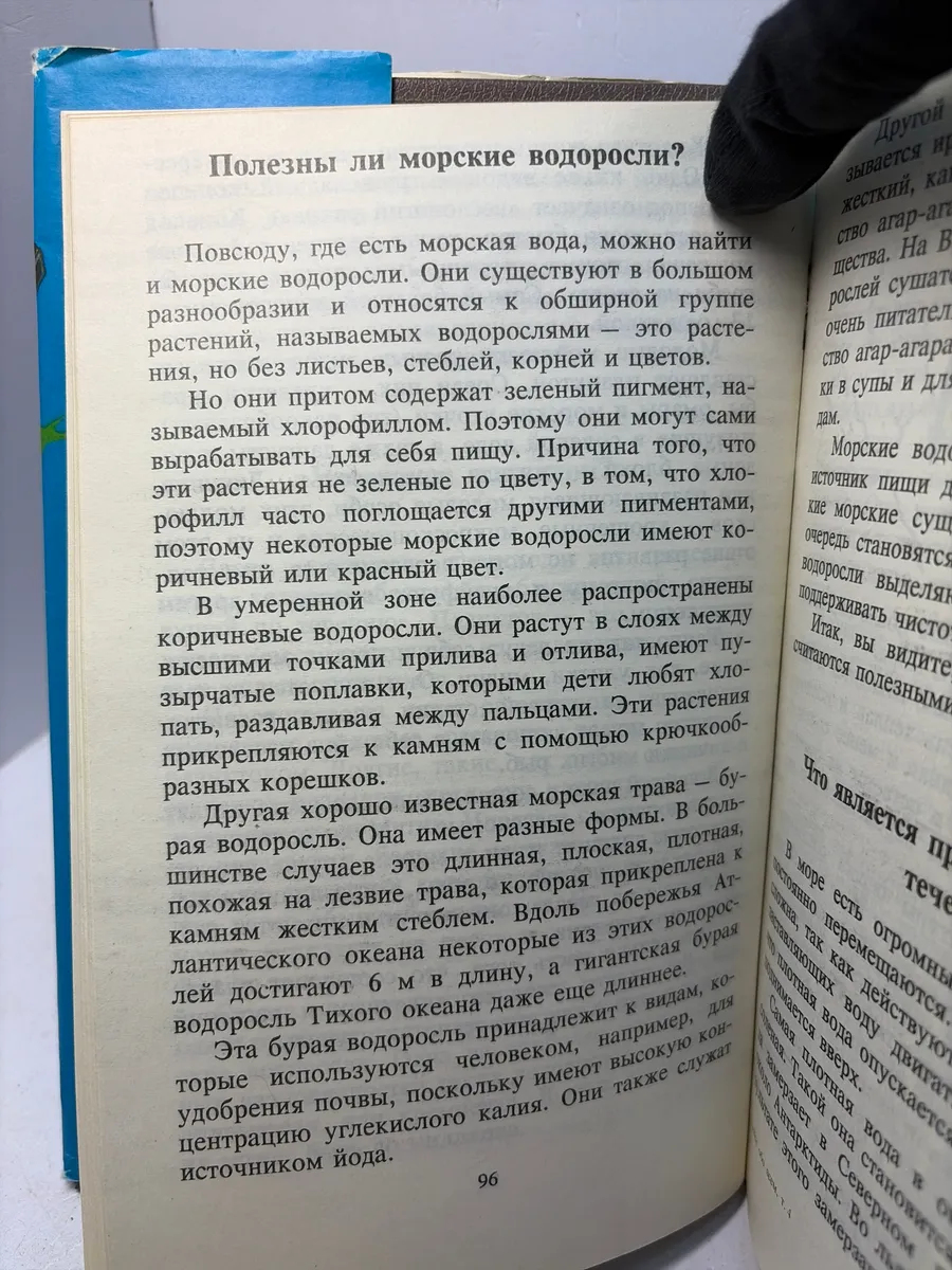 Картинка 7