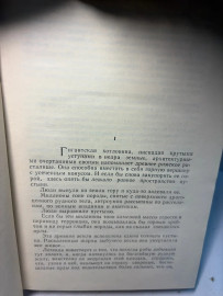 Картинка 5