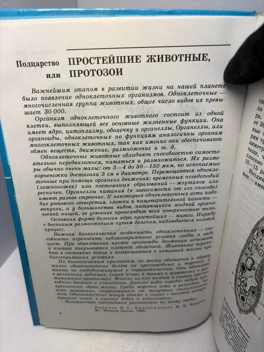 Картинка 5