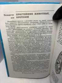 Картинка 5