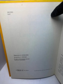 Картинка 4