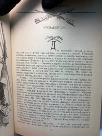 Картинка 5