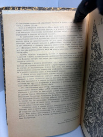 Картинка 2