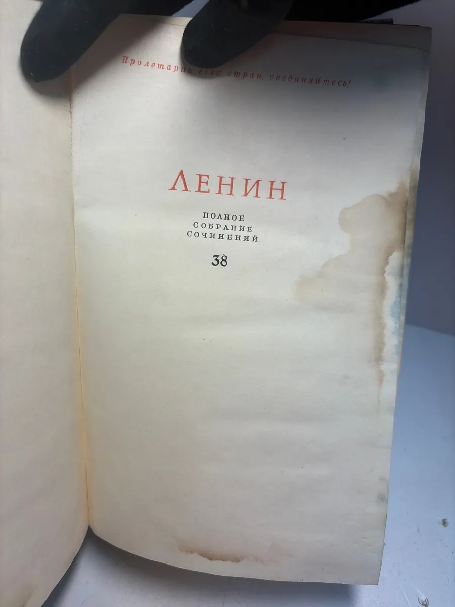 Картинка 2