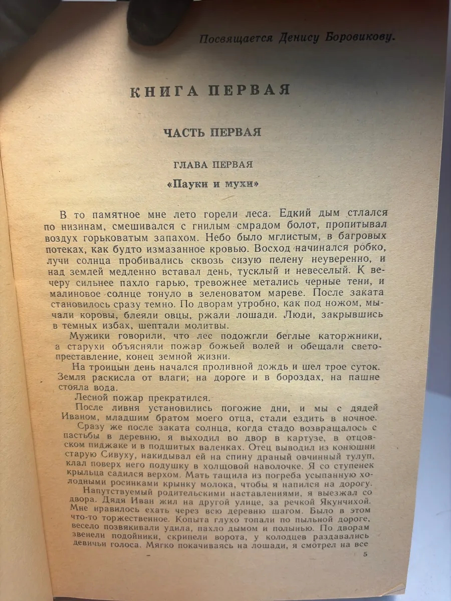 Картинка 4
