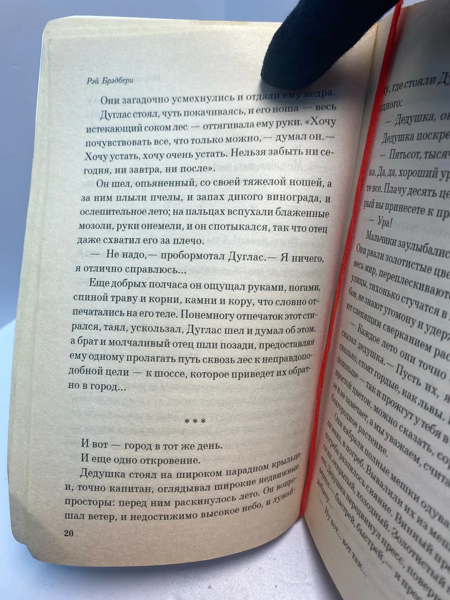 Картинка 5