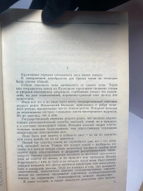 Картинка 2