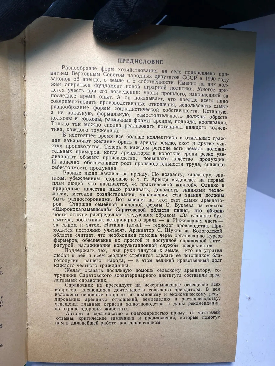 Картинка 3
