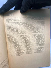 Картинка 2