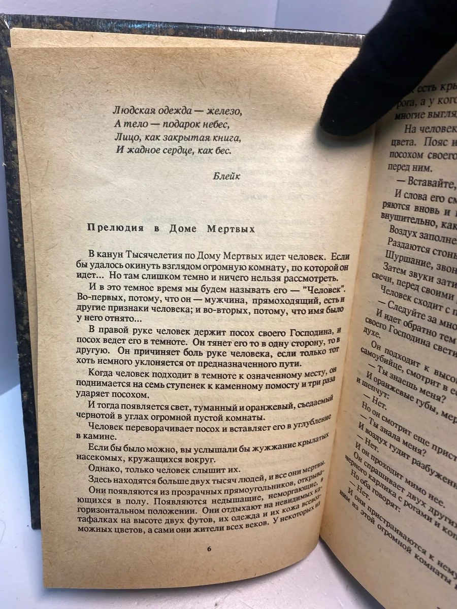 Картинка 5