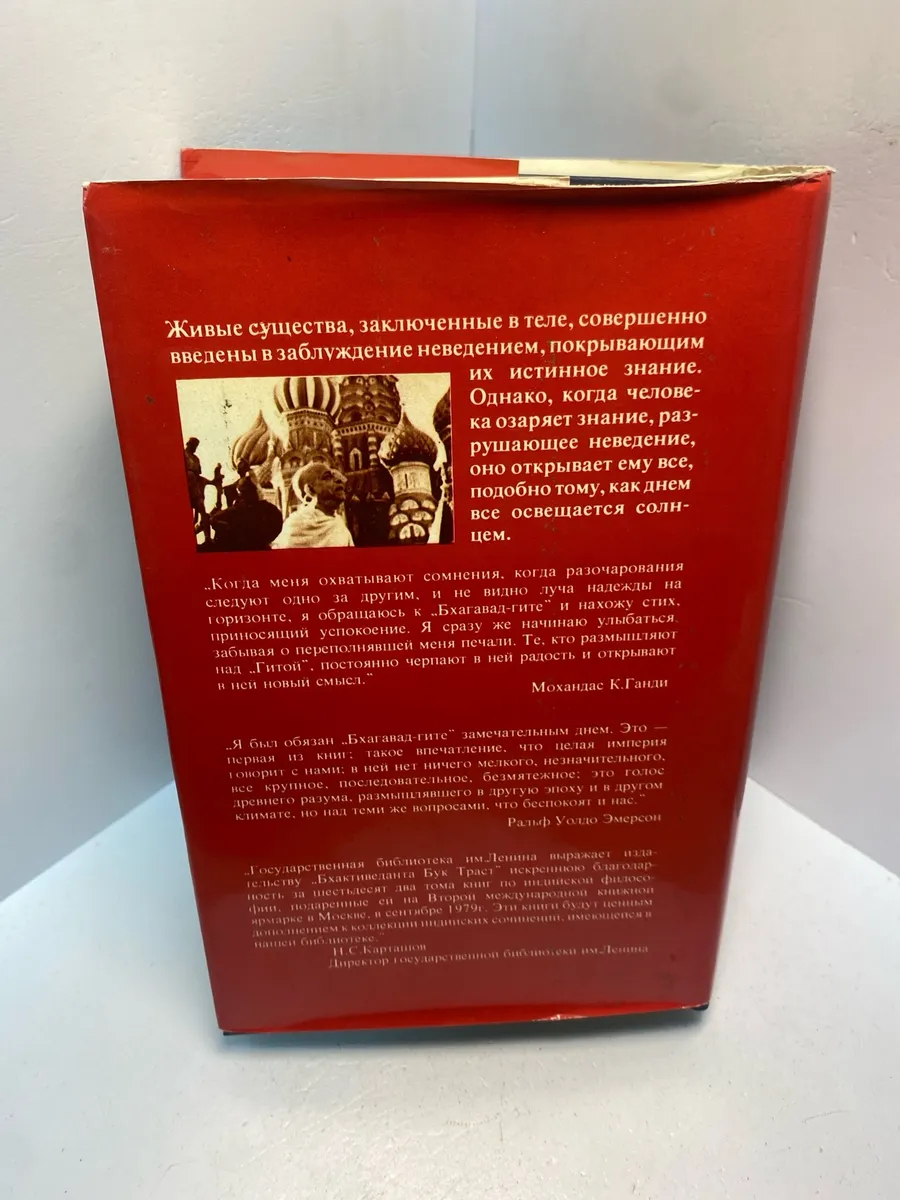 Картинка 3