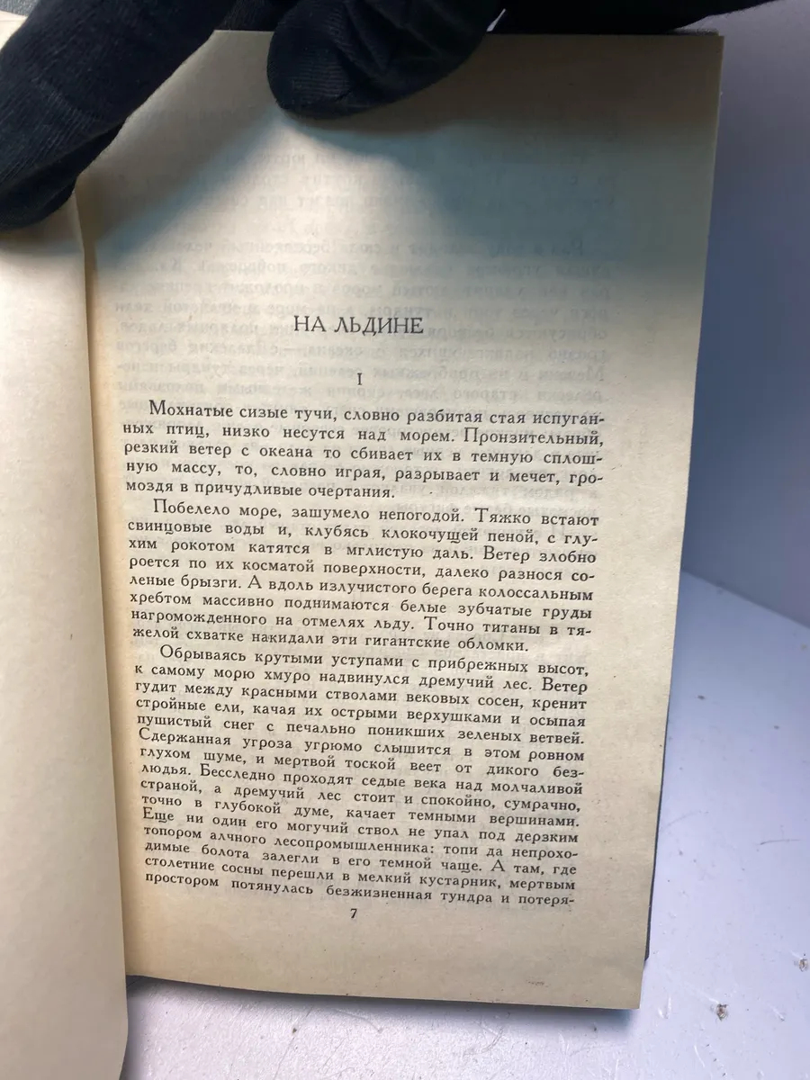 Картинка 4
