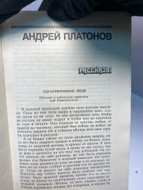 Картинка 4