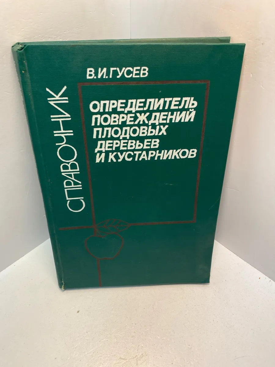 Картинка 1