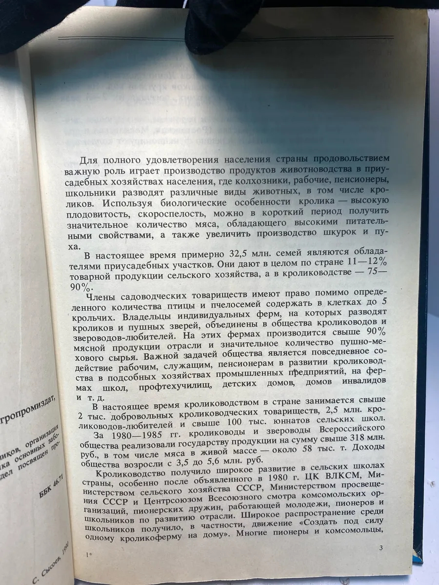 Картинка 3