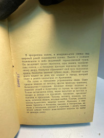 Картинка 4