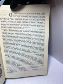 Картинка 5