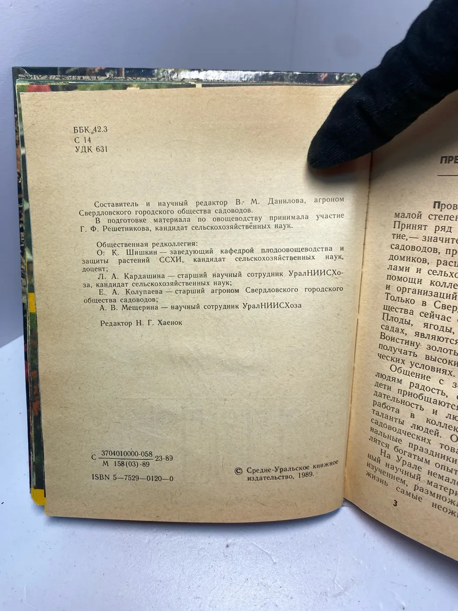 Картинка 2