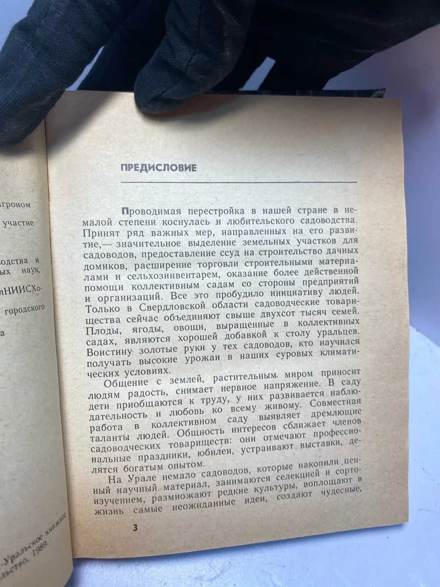Картинка 5