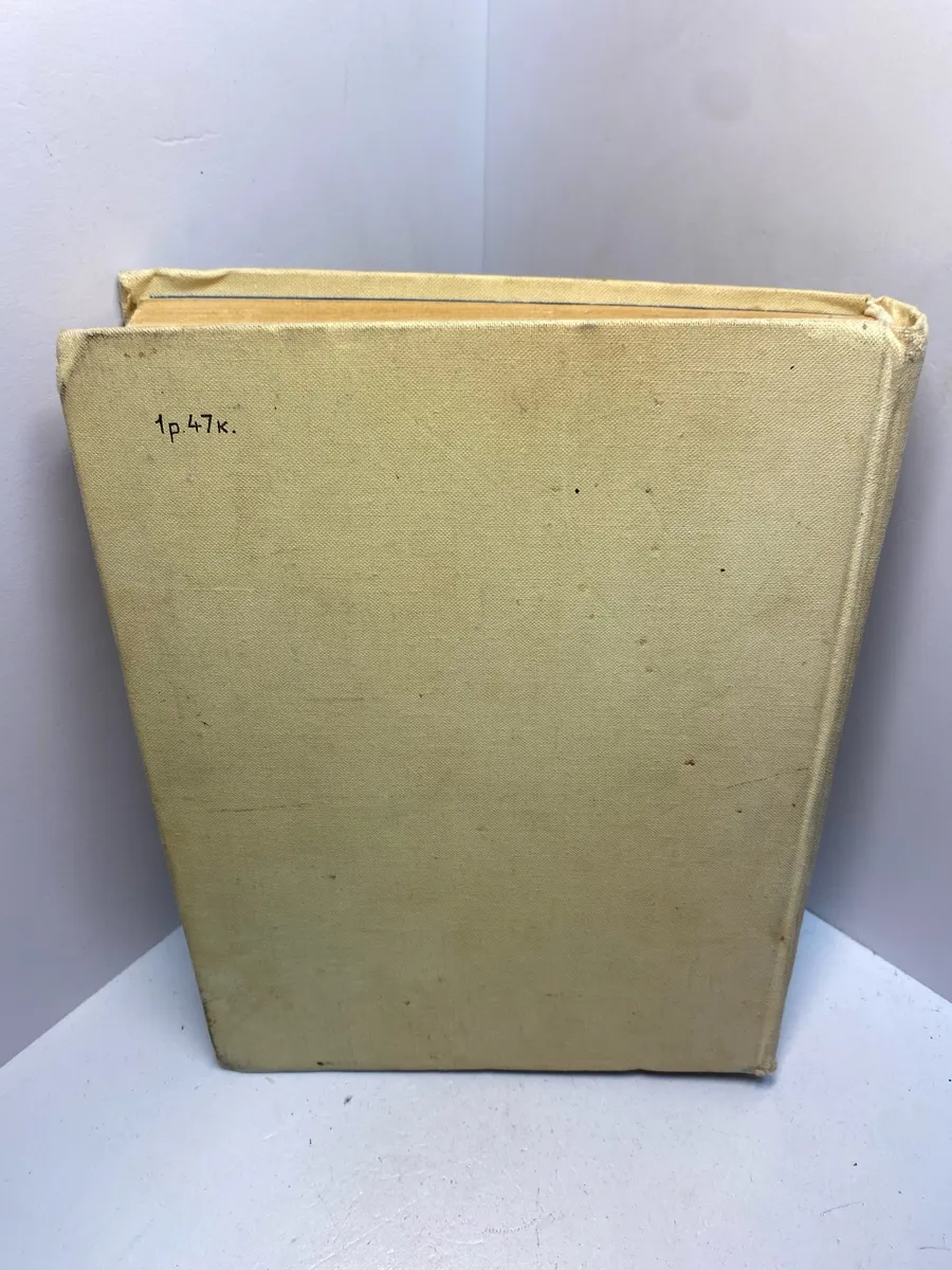 Картинка 3