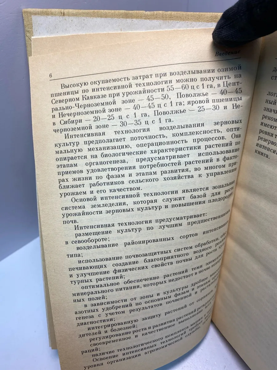 Картинка 4