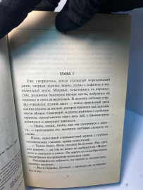 Картинка 2