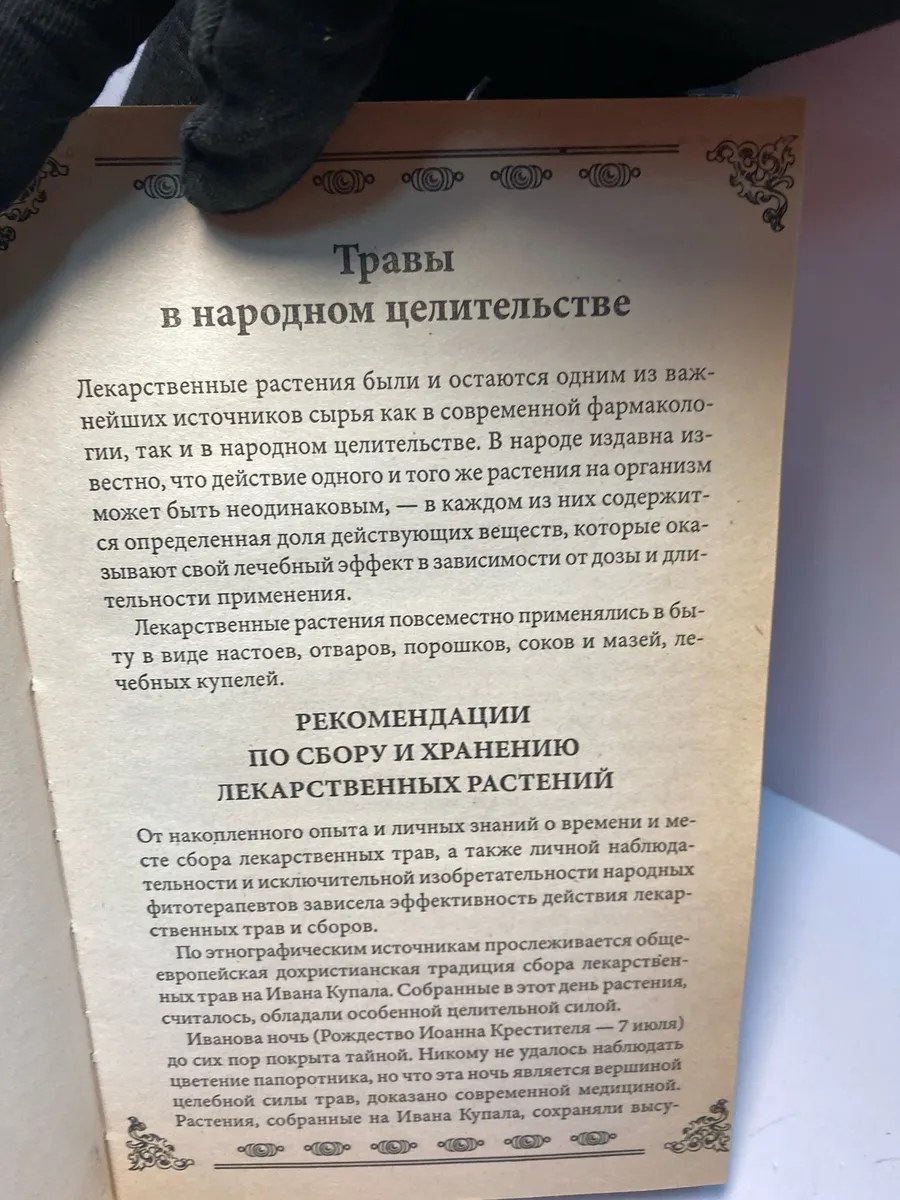 Картинка 6