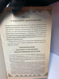 Картинка 6